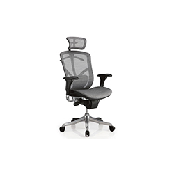 金尊大班椅系列 Brant office chair